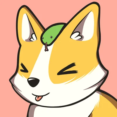 corg corg token 1